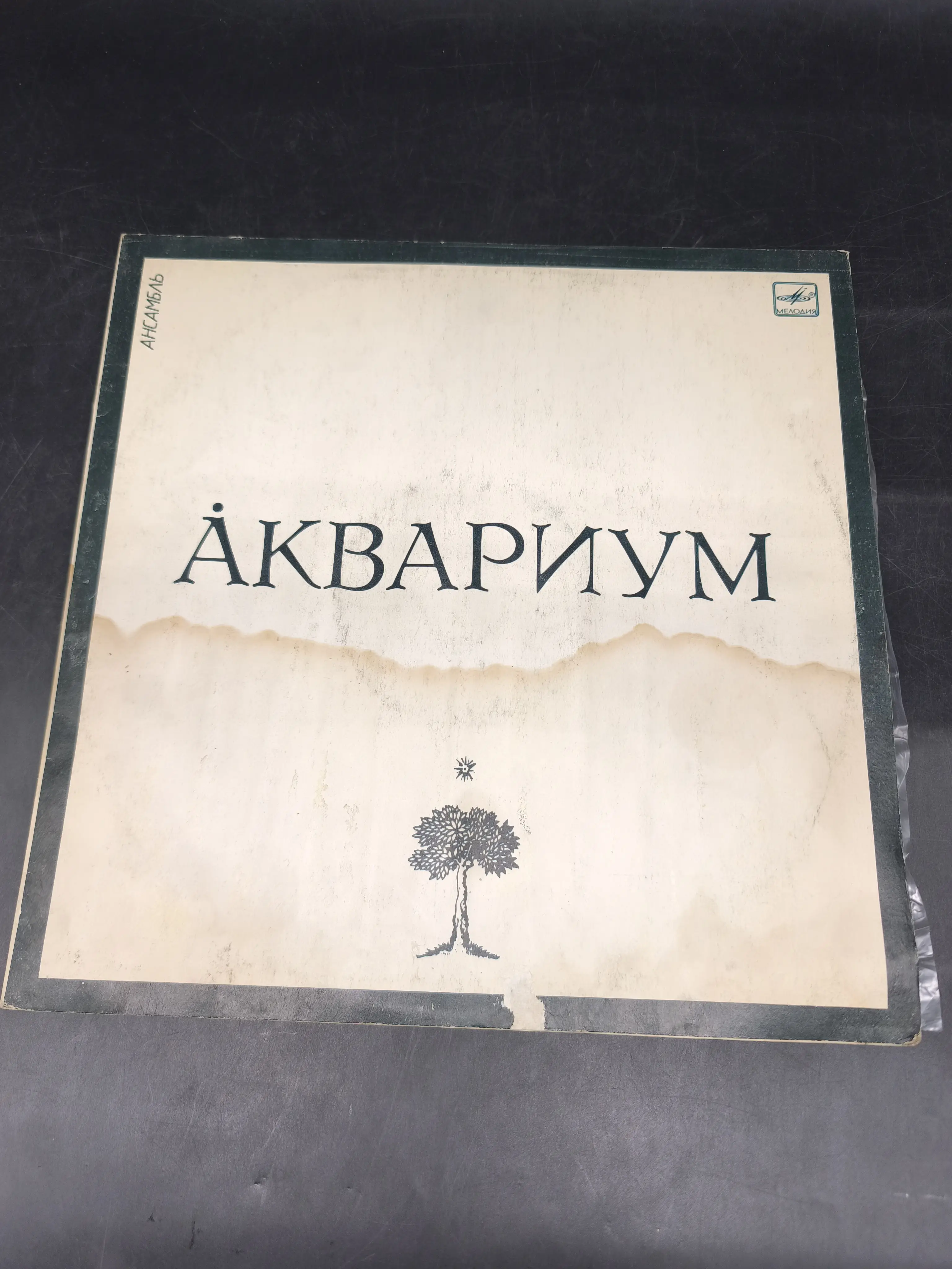 Аквариум, LP Image